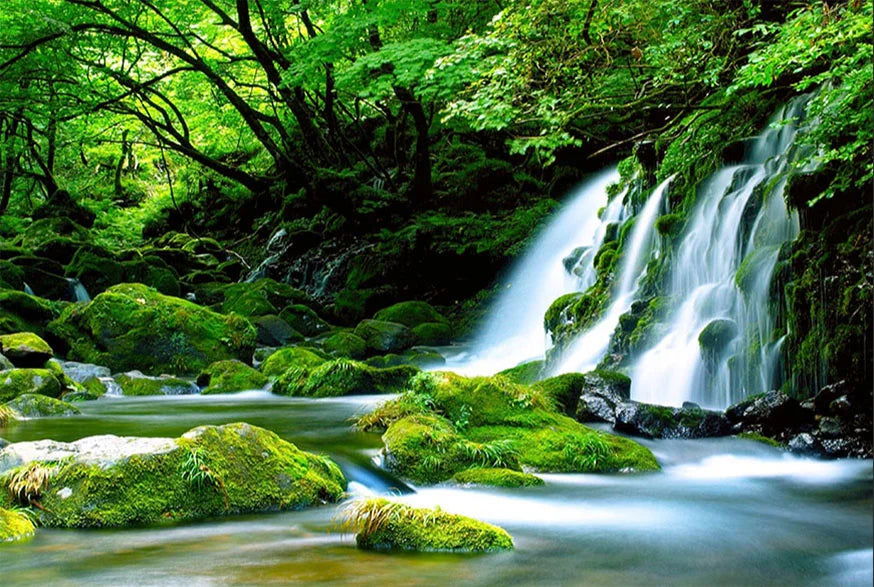 Apa alcalină - mit sau realitate?