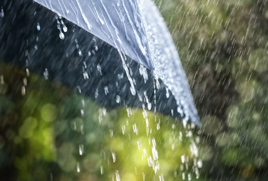 Răsfățul de vară din dușurile fără clor